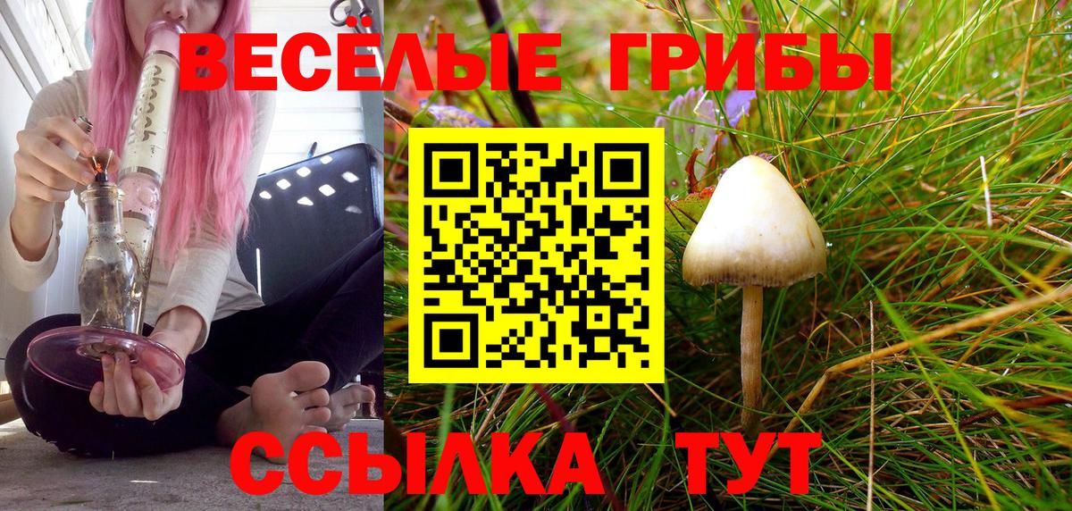 Галлюциногенные грибы Magic Shrooms  Вход с VPN  Муром  Галлюциногенные грибы GOLDEN TEACHER 